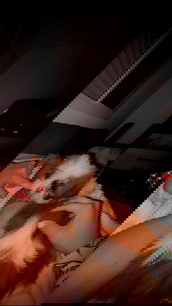 noammalka___ noammalka___ archive image