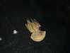 hhh.e_c.v Altpins Profile Picture
