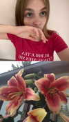 llinolinaa Altpins Profile Picture