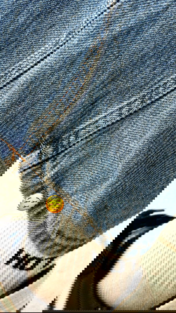 efrat_elmalich efrat_elmalich archive image