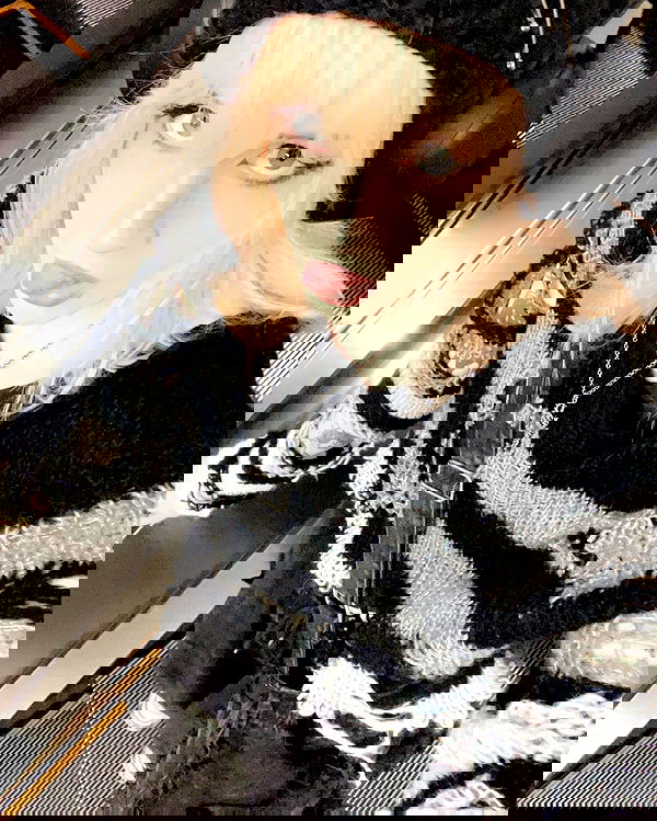 silkton image ~ Altpins