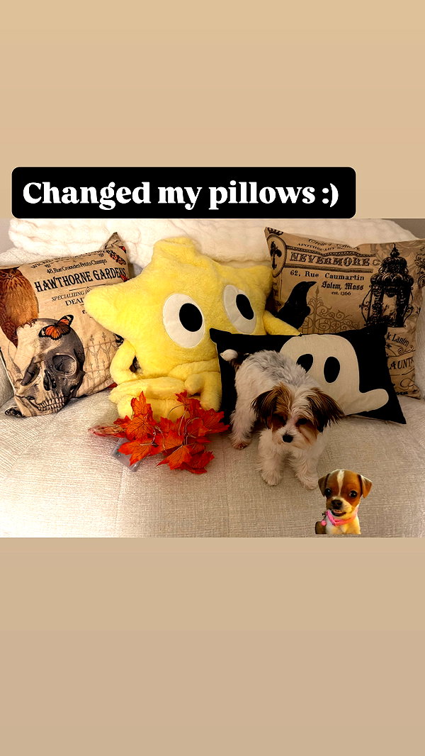 lazzybeans instagram image archive image