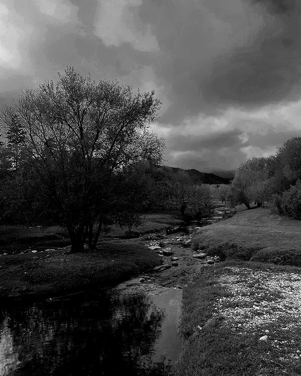 solzarubin_ instagram image archive image