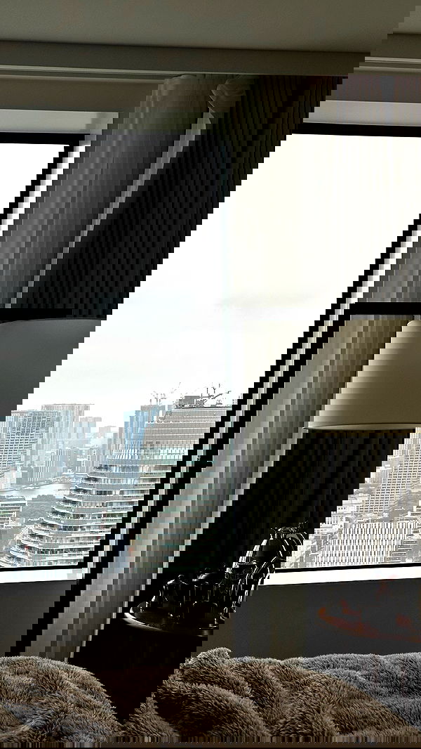 taylor.creeden taylor.creeden archive image