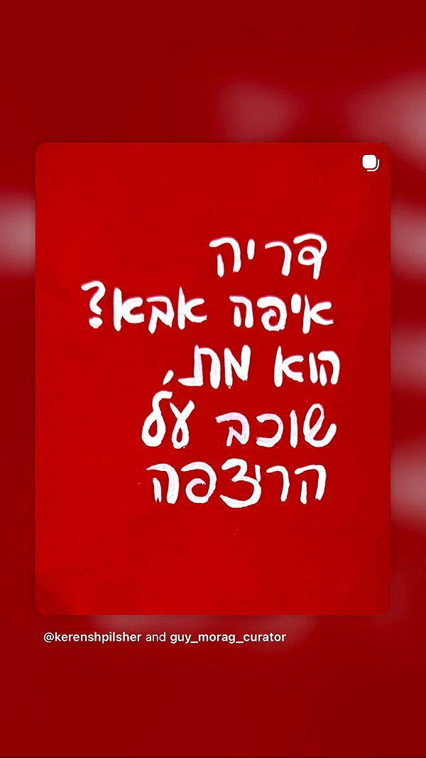 shira.sharabi shira.sharabi archive image