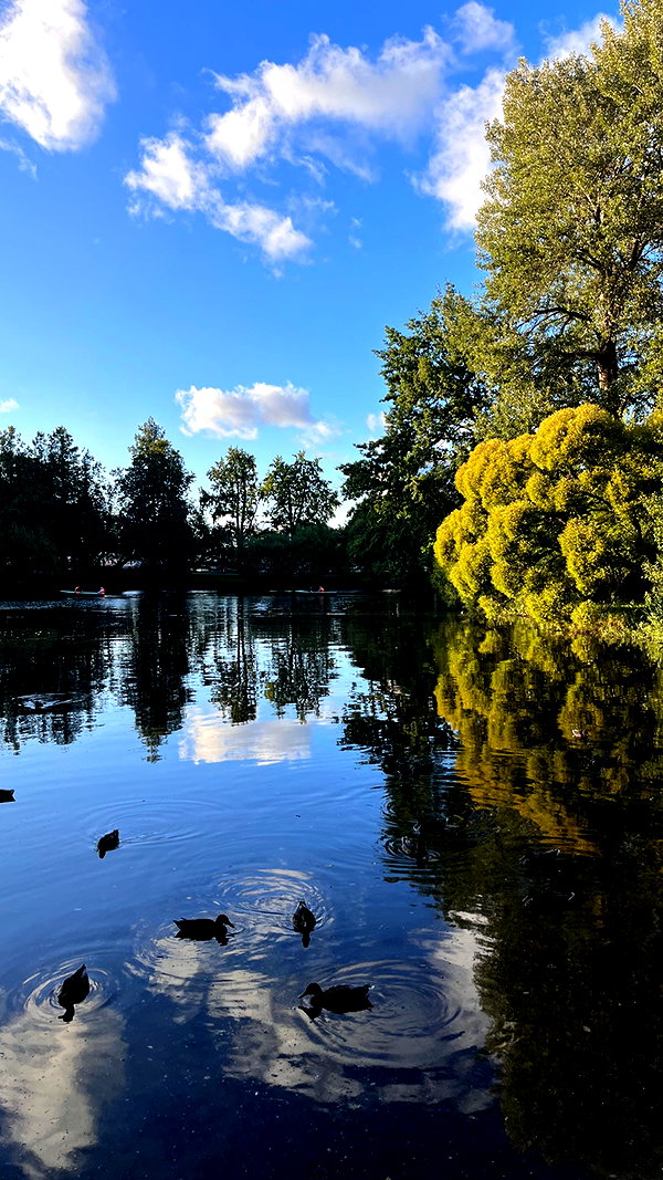 nasstellaa instagram image archive image