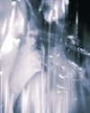 hikairi.1212 Altpins Profile Picture
