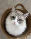 catl0verr69 Altpins Profile Picture