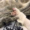 kelseydopegal Altpins Profile Picture