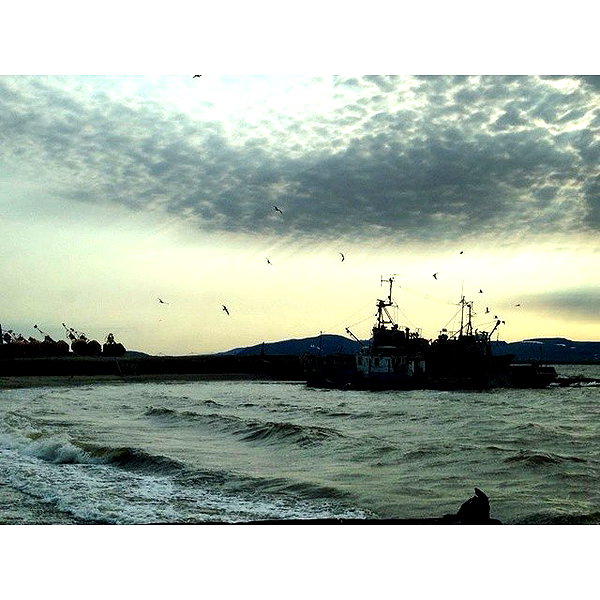 sychevskaya instagram image archive image