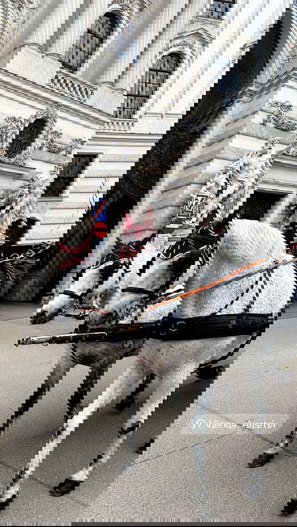 dustheadd dustheadd archive image