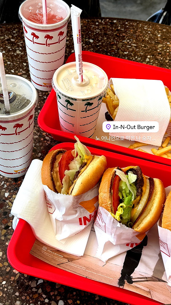 daxbin instagram image archive image