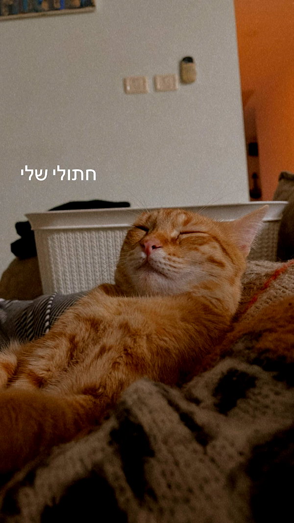 eva_romanovski instagram image archive image