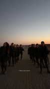 0r_medina Altpins Profile Picture