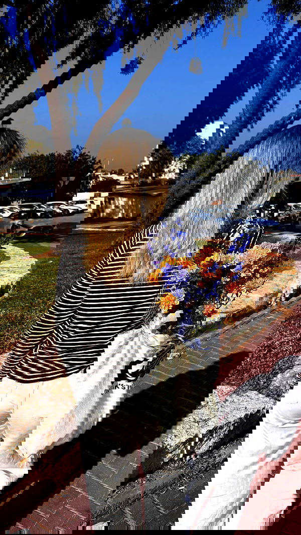 shakeddri image ~ Altpins