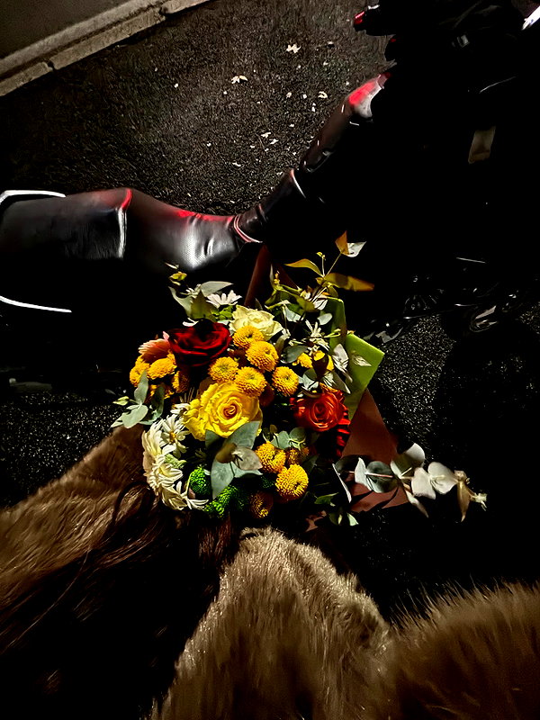 elsgatti instagram image archive image