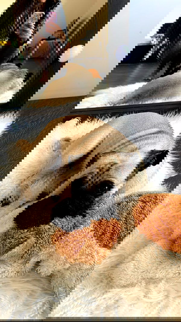 nyityam nyityam archive image