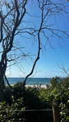 daisy_r_19 Altpins Profile Picture