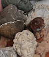 crocodile.notes Altpins Profile Picture
