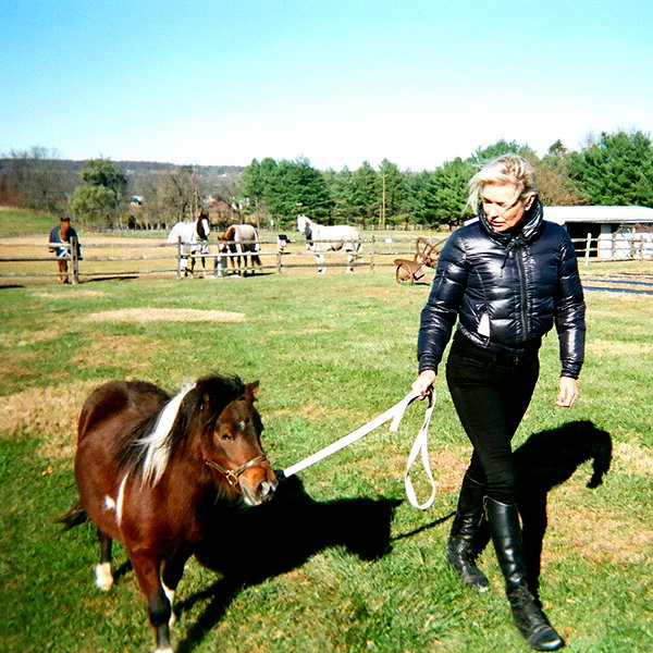 gigihadid instagram image archive image