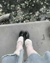 svgarbvnnies Altpins Profile Picture