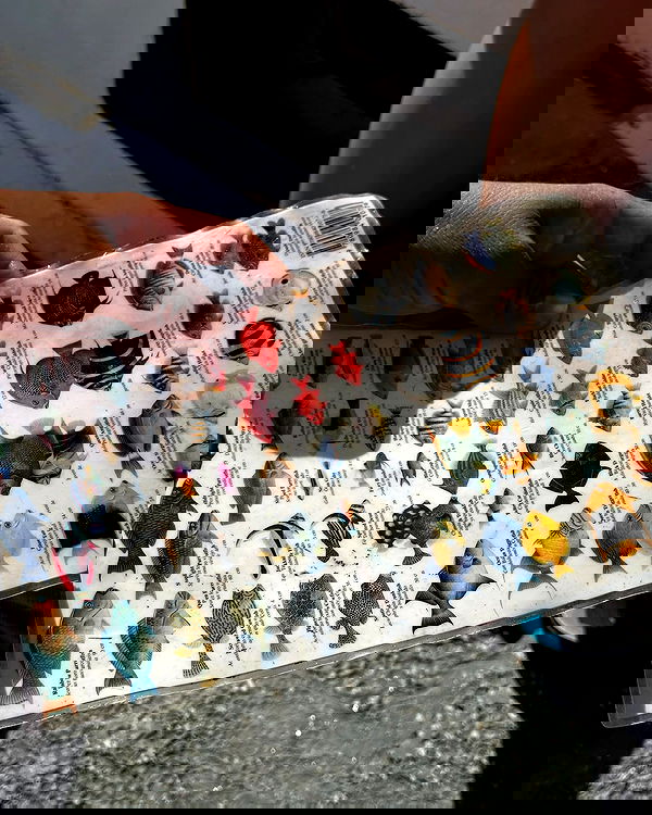 manjolamuriqi manjolamuriqi archive image