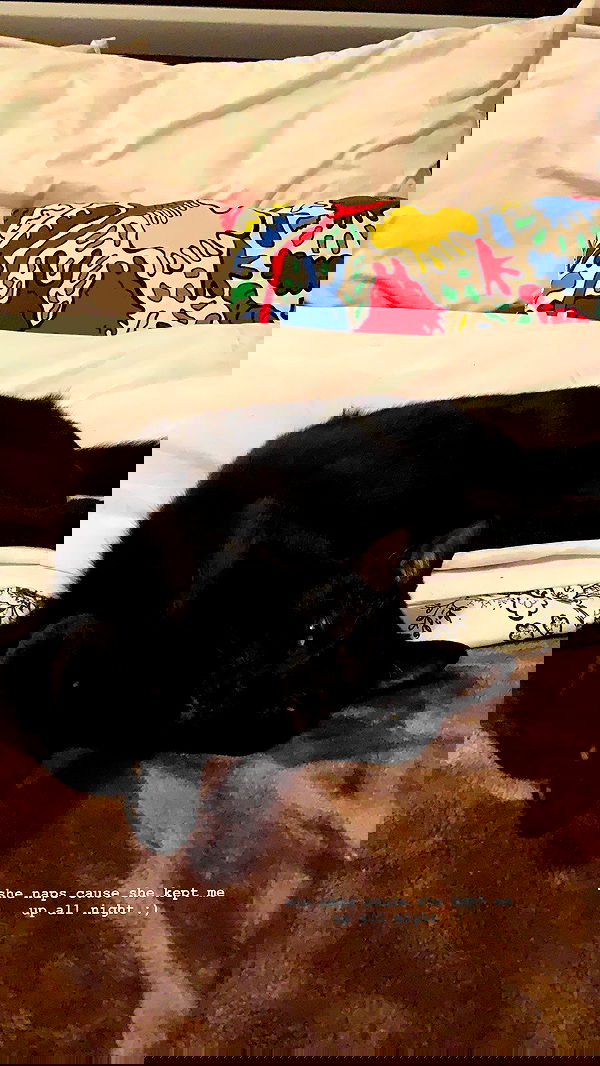 suikomuu suikomuu archive image