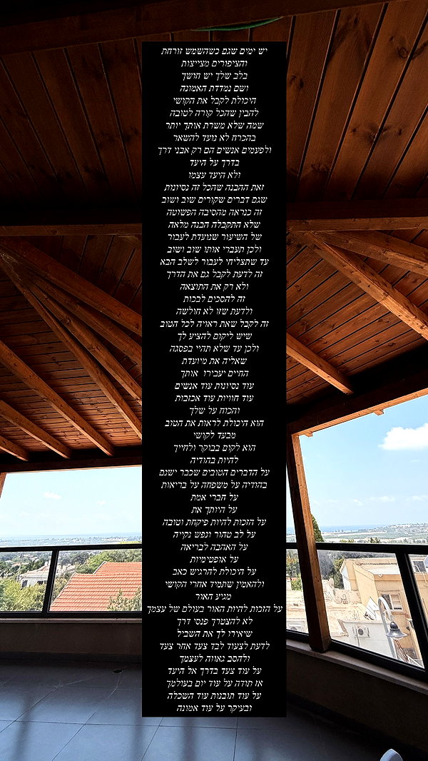 ofri.elul archive image