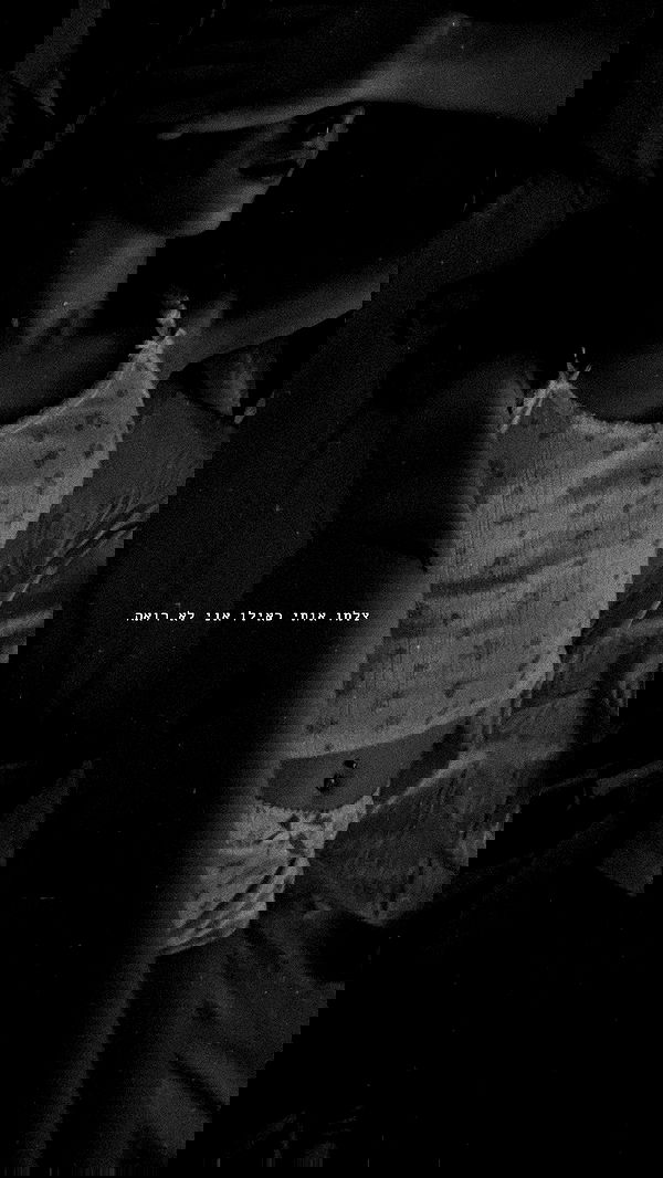 _._dianush._ _._dianush._ archive image