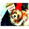 katehudson Altpins Profile Picture