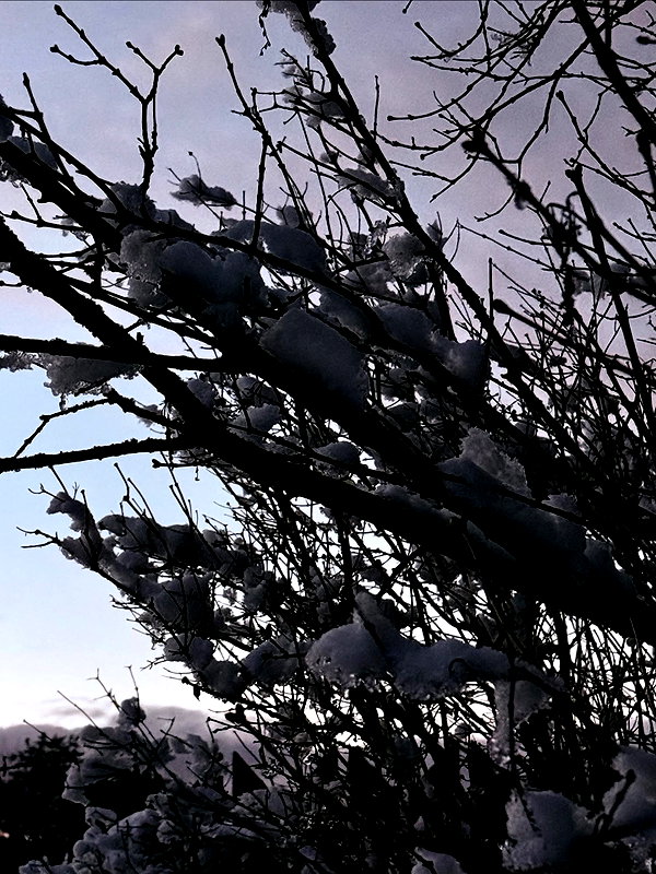 howeversnowy instagram image archive image