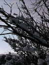 howeversnowy Altpins Profile Picture