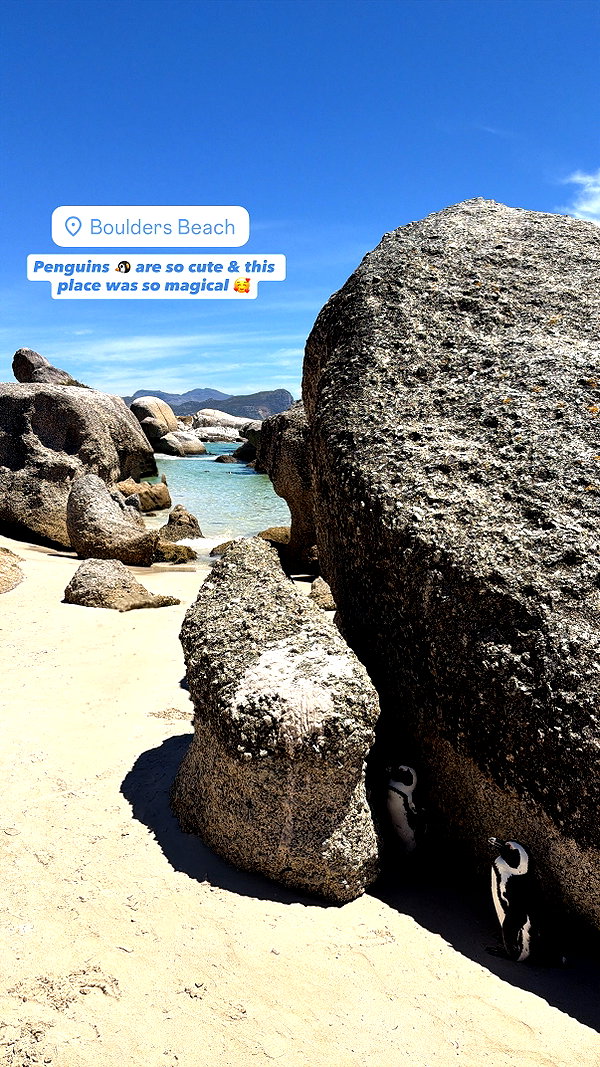 sophielaurenxxo instagram image archive image