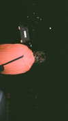 carmexan Altpins Profile Picture