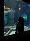 nishymoon_ Altpins Profile Picture
