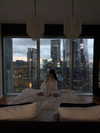 alishevs Altpins Profile Picture