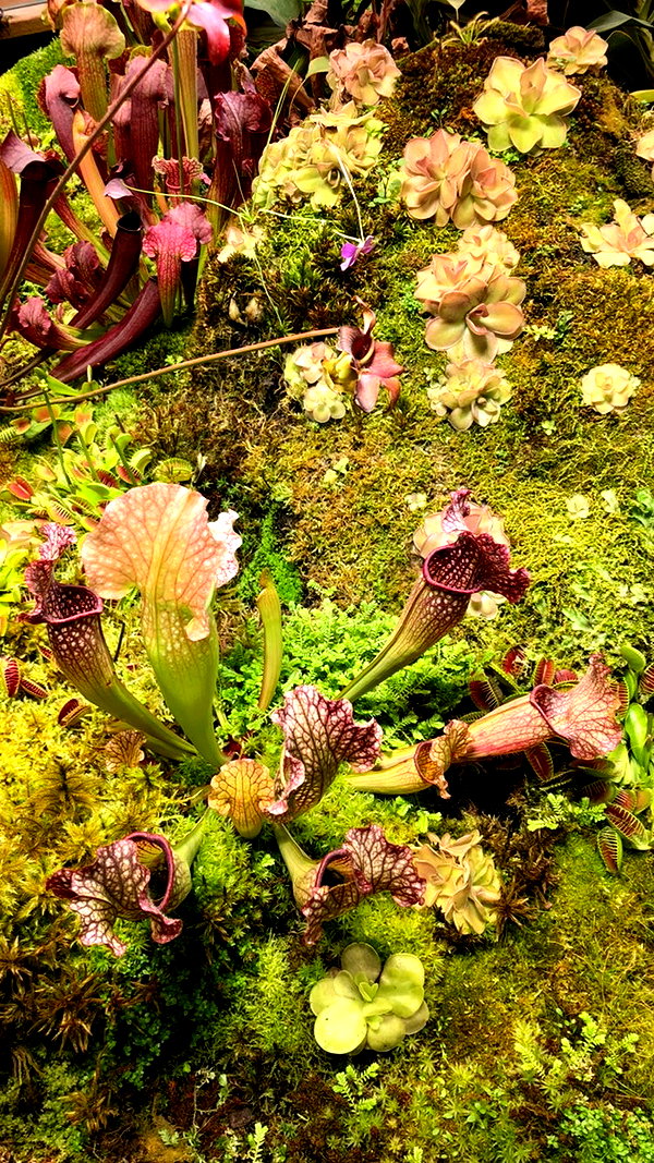 stranstviepera instagram image archive image