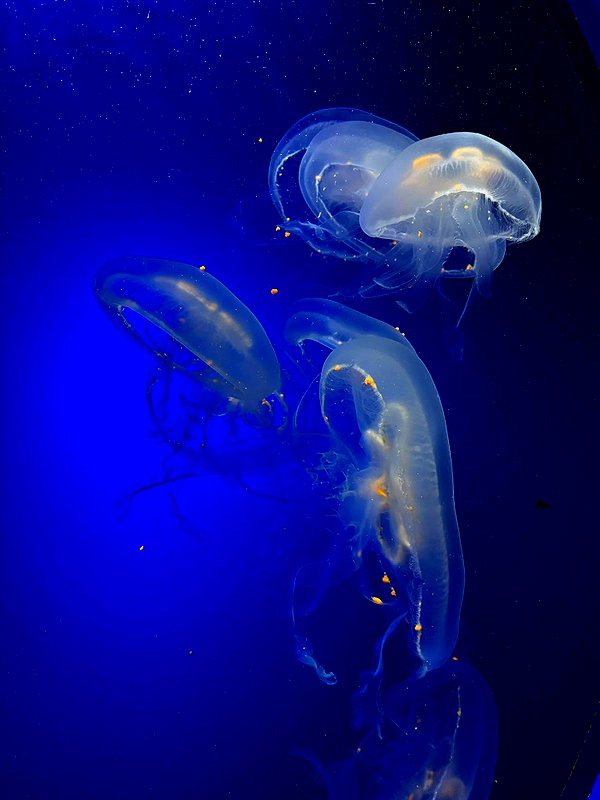 borkwsmh instagram image archive image