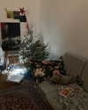 milena_milachich Altpins Profile Picture