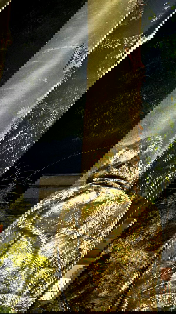 romy_ayalla_lavi romy_ayalla_lavi archive image