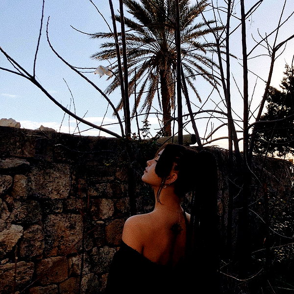 ofri.elul instagram image archive image