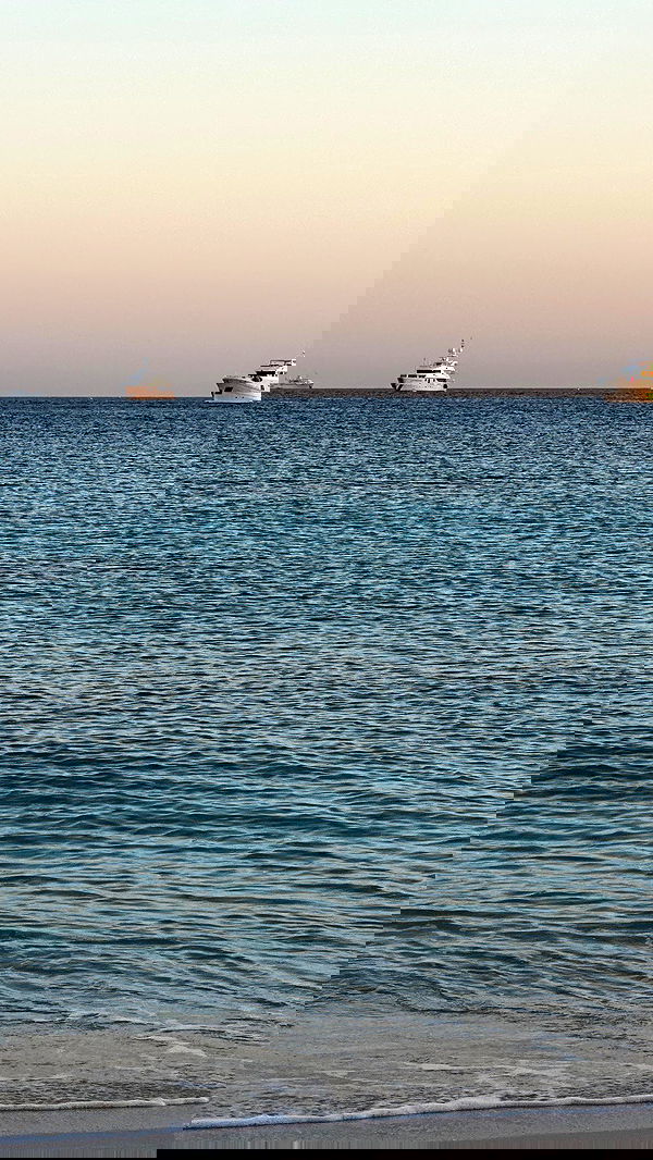 taylor.creeden taylor.creeden archive image