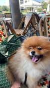 lian.gur Altpins Profile Picture