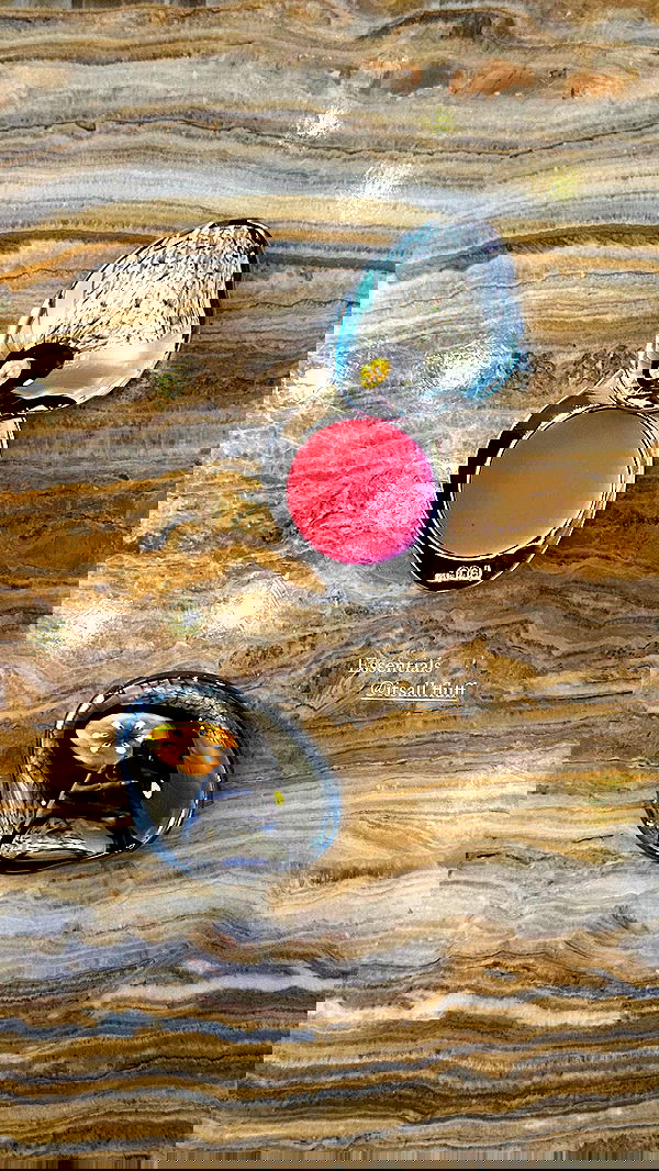 taylor.creeden taylor.creeden archive image