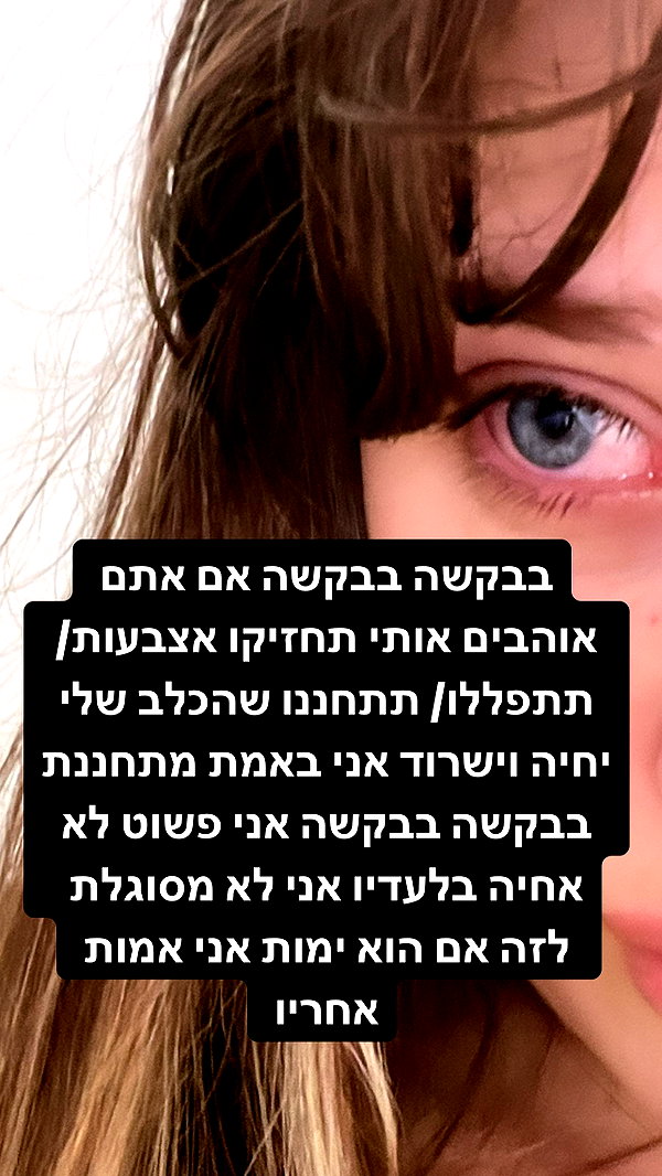 liliashaked instagram image archive image