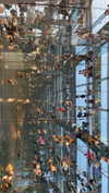 maori_cohen Altpins Profile Picture