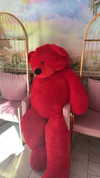 sonia_litvanchuk Altpins Profile Picture