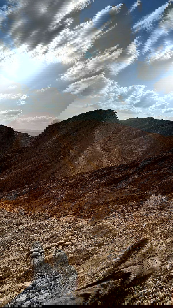 _hilaluu image ~ Altpins