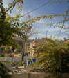 _femalien Altpins Profile Picture