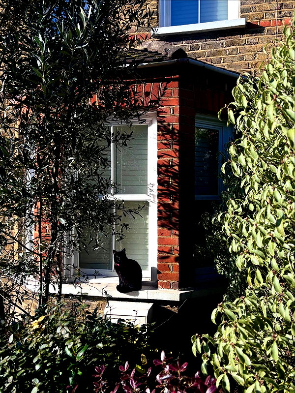 mollieruck instagram image archive image